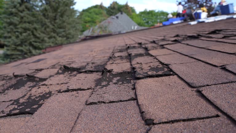 Best Storm Damage Roof Repair  in Dickson City, PA